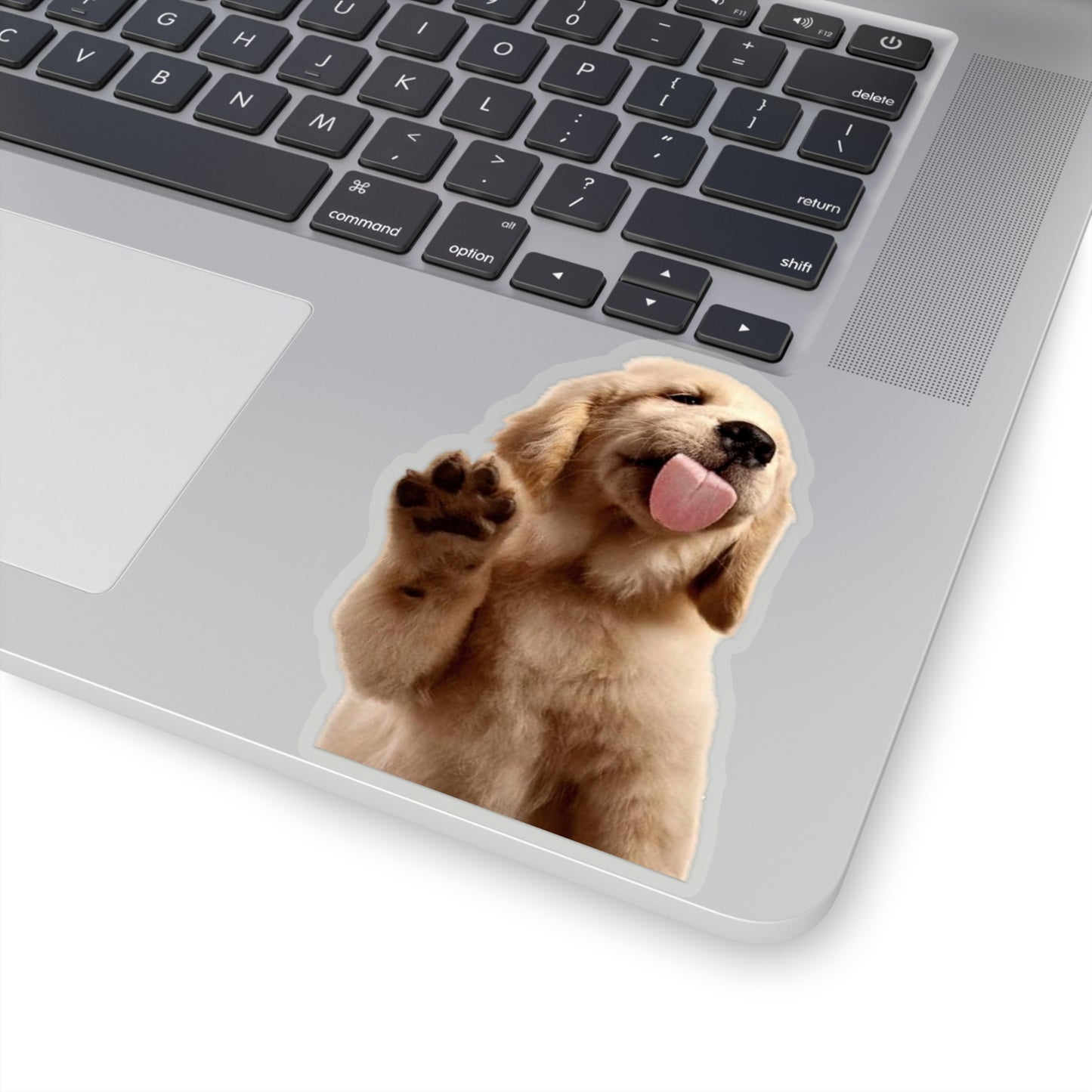 Golden Puppy Licking Stickers