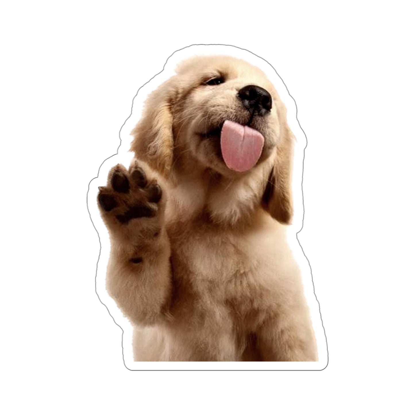 Golden Puppy Licking Stickers