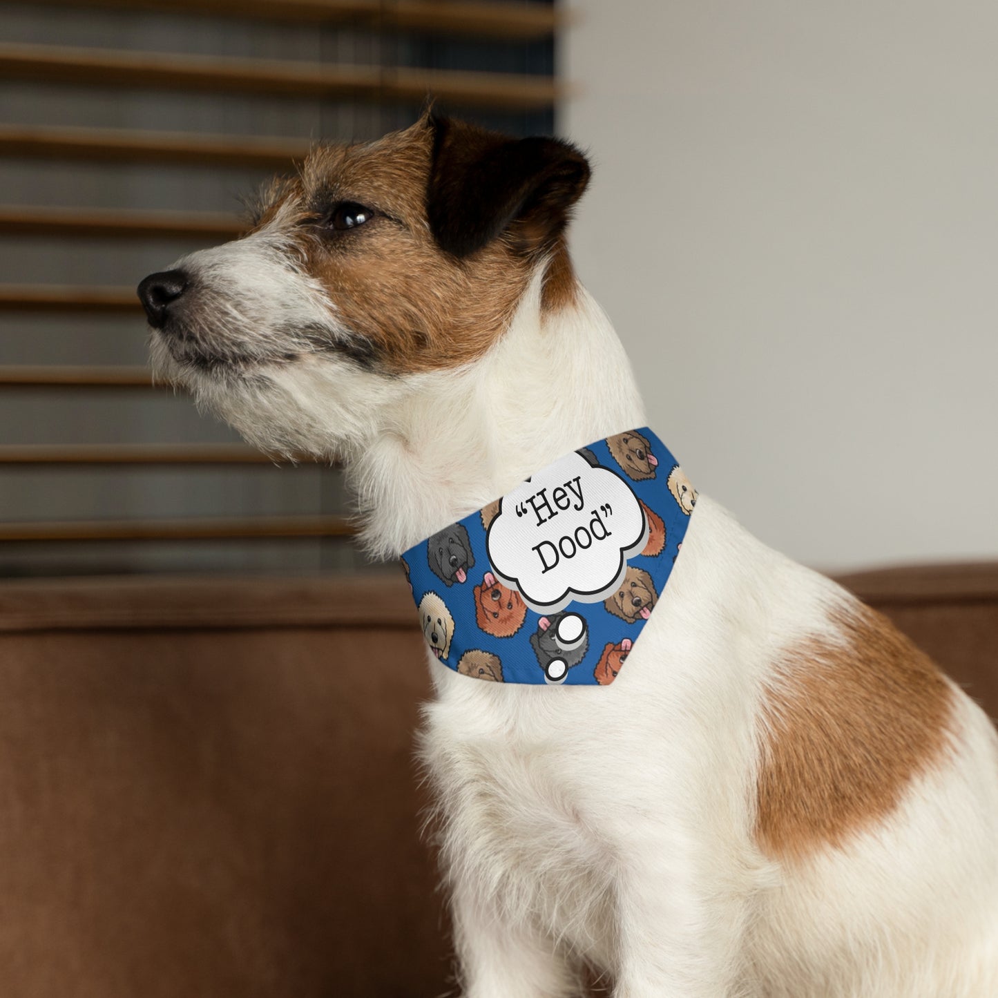 "Hey Dood" Pet Bandana Collar