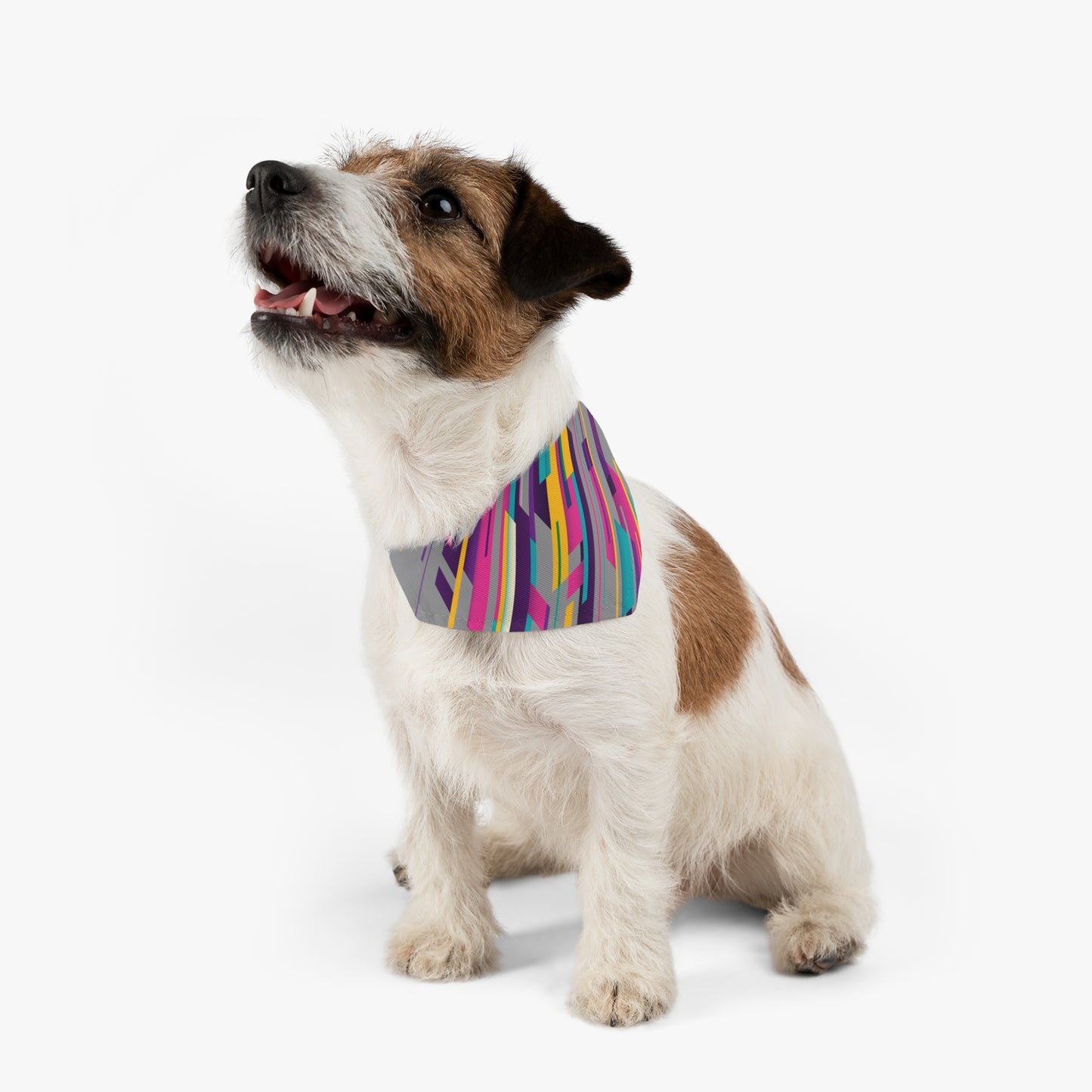 Colorful Pet Bandana