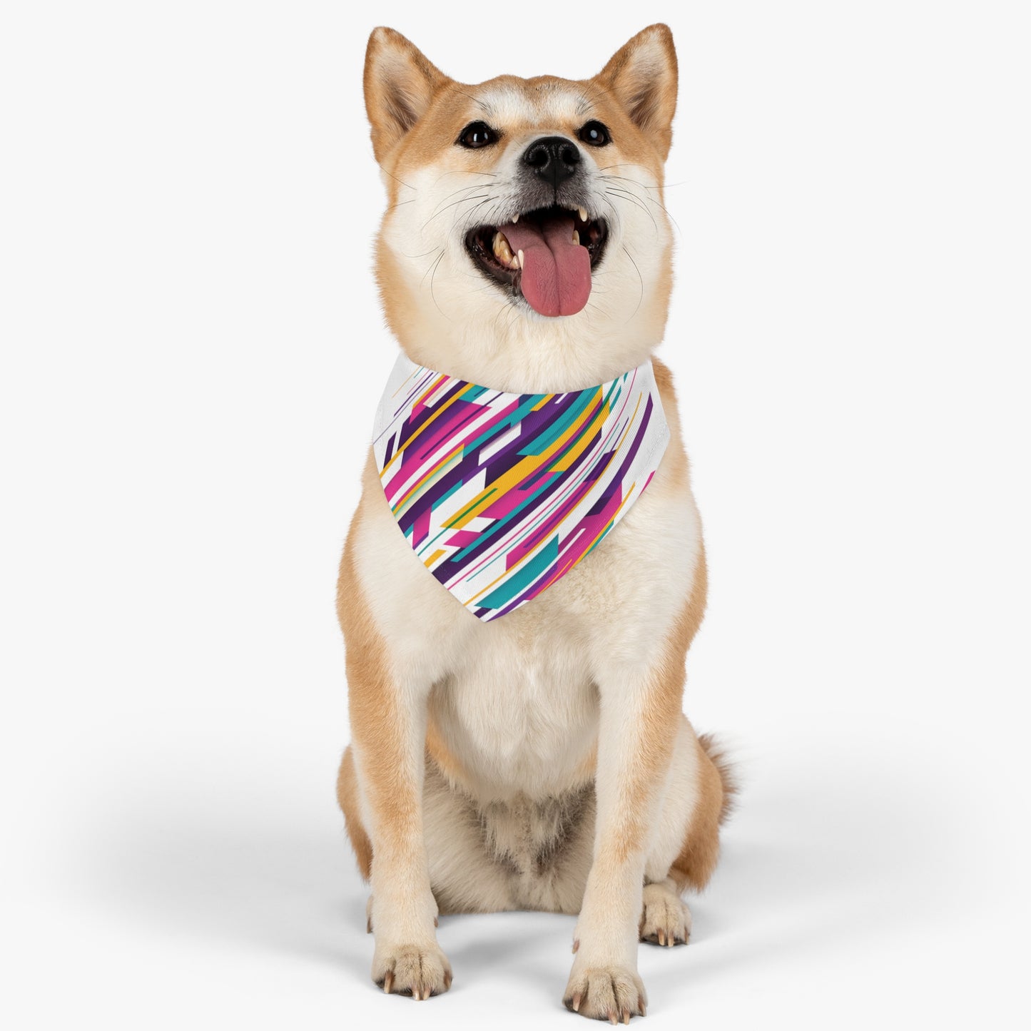 Colorful Pet Bandana