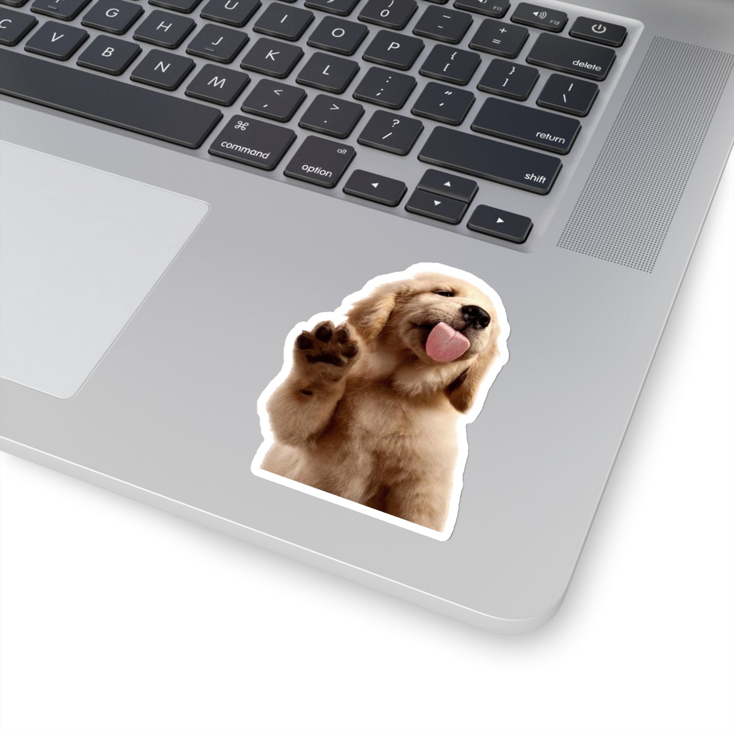 Golden Puppy Licking Stickers