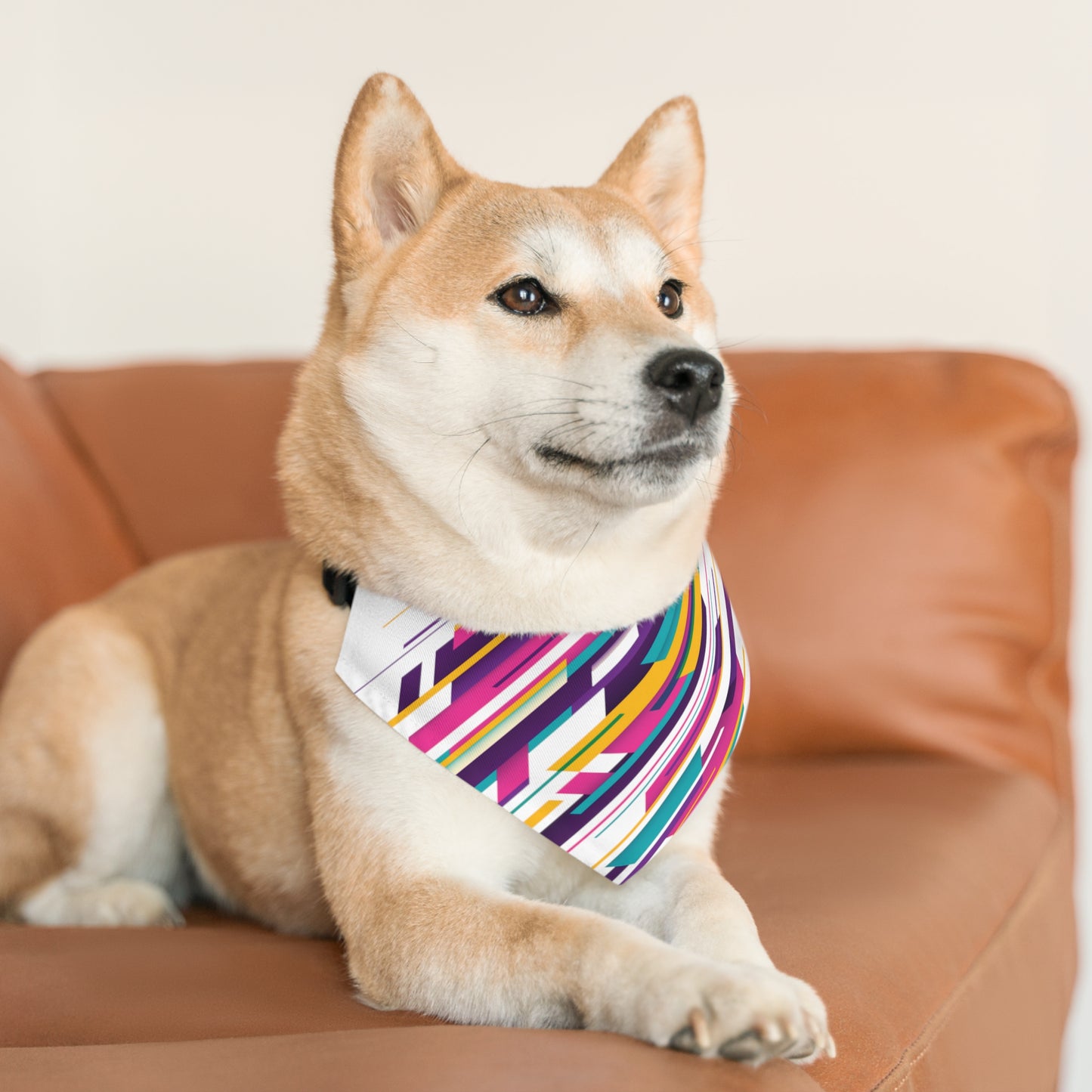 Colorful Pet Bandana