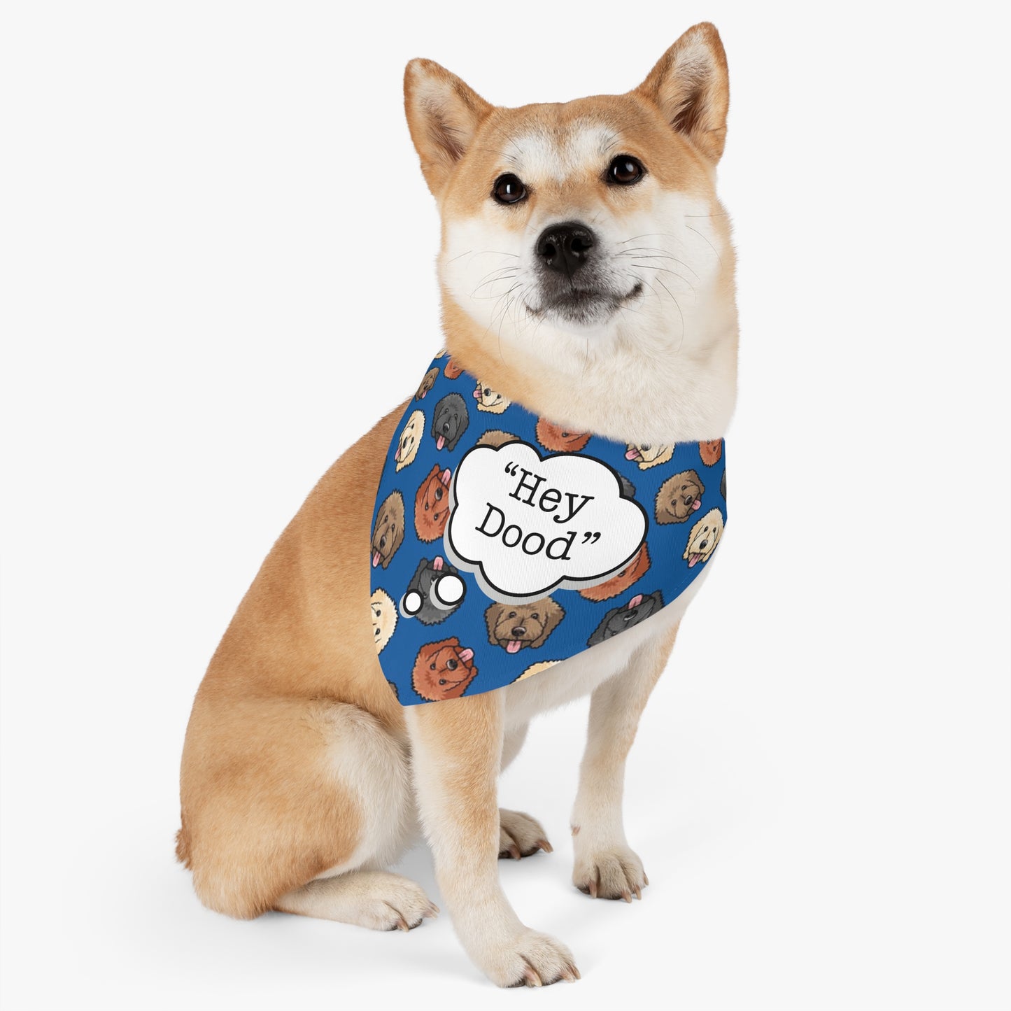 "Hey Dood" Pet Bandana Collar