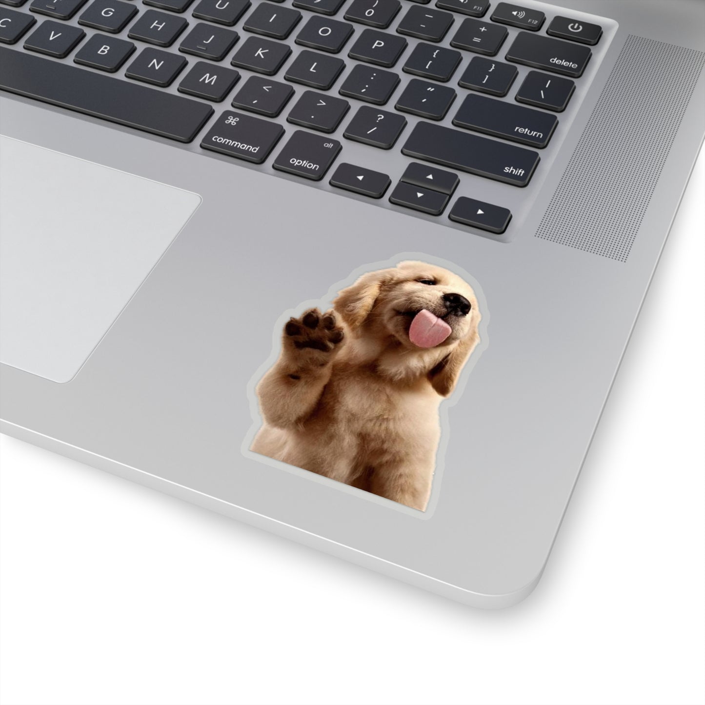 Golden Puppy Licking Stickers