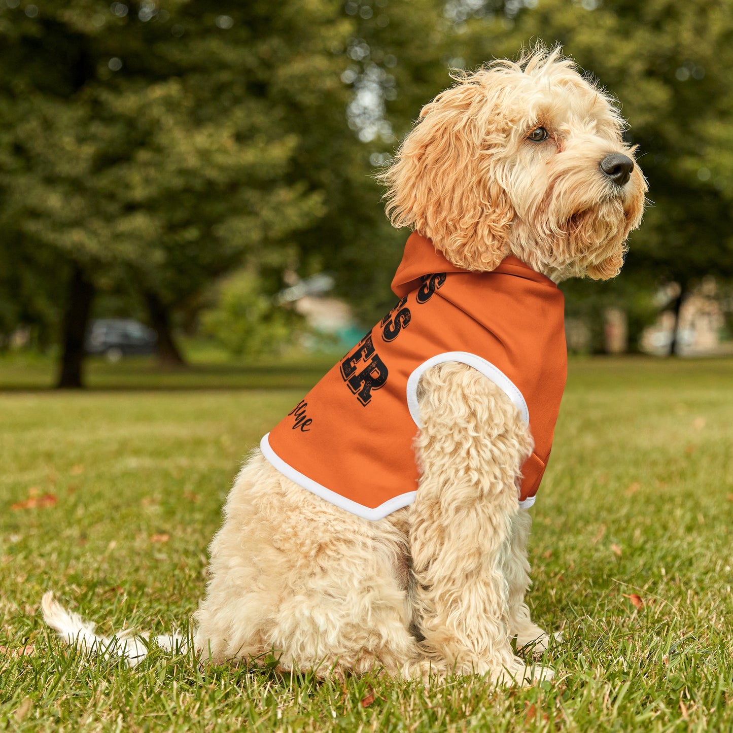 Dogs Lives Matter Please Rescue Hoodie