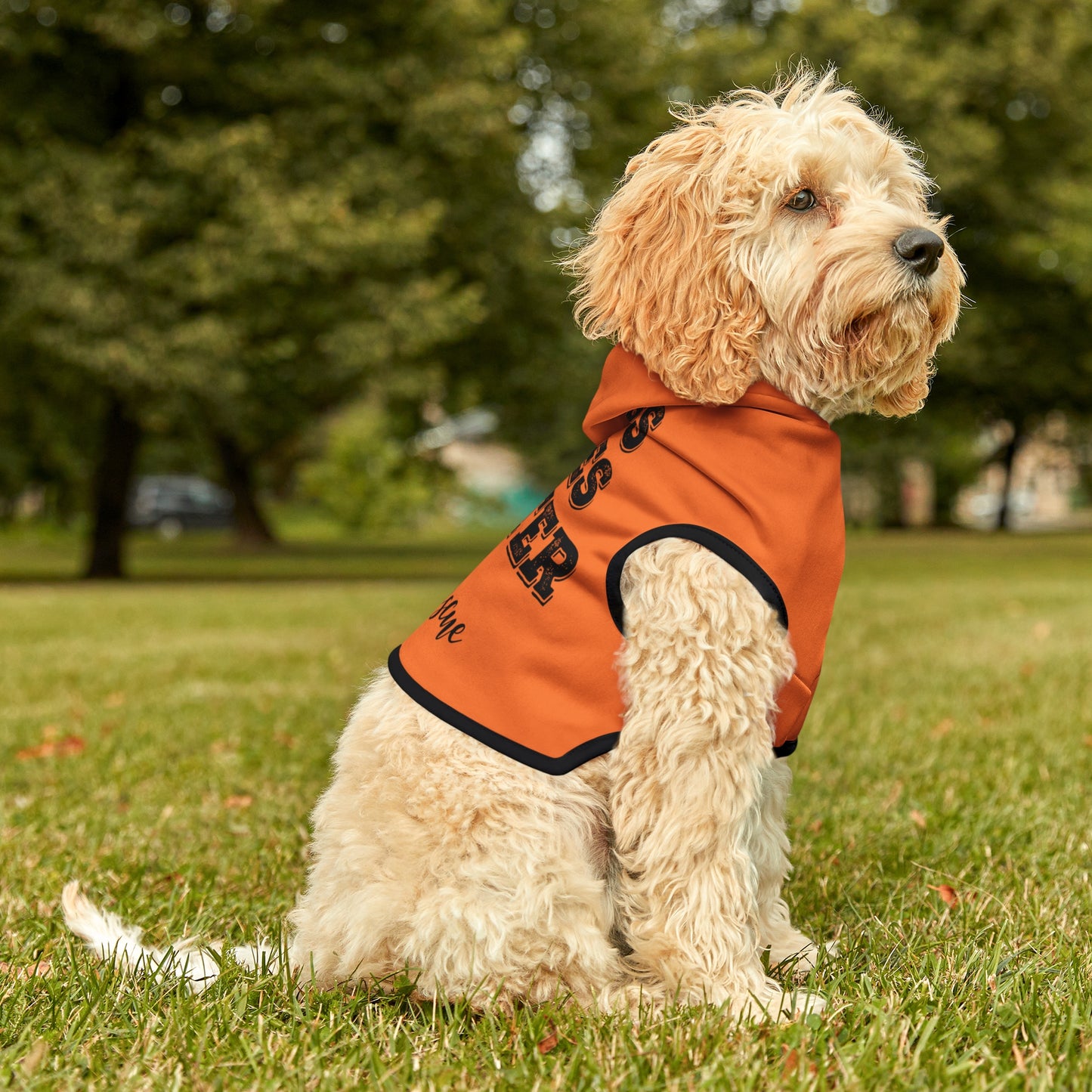 Dogs Lives Matter Please Rescue Hoodie