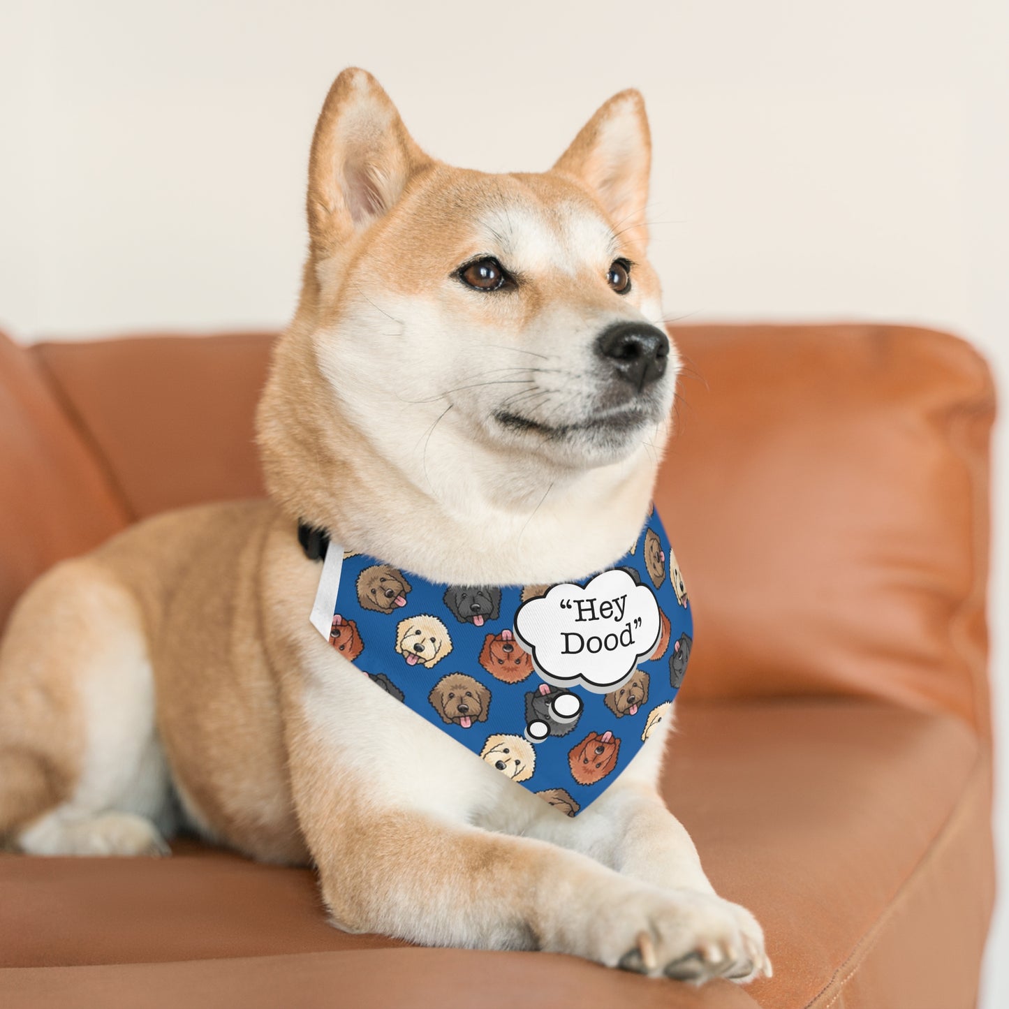 "Hey Dood" Pet Bandana Collar